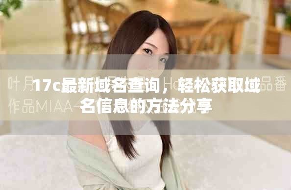 17c最新域名查询，轻松获取域名信息的方法分享