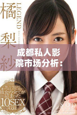 成都私人影院市场分析：高清观影体验的未来发展潜力与挑战