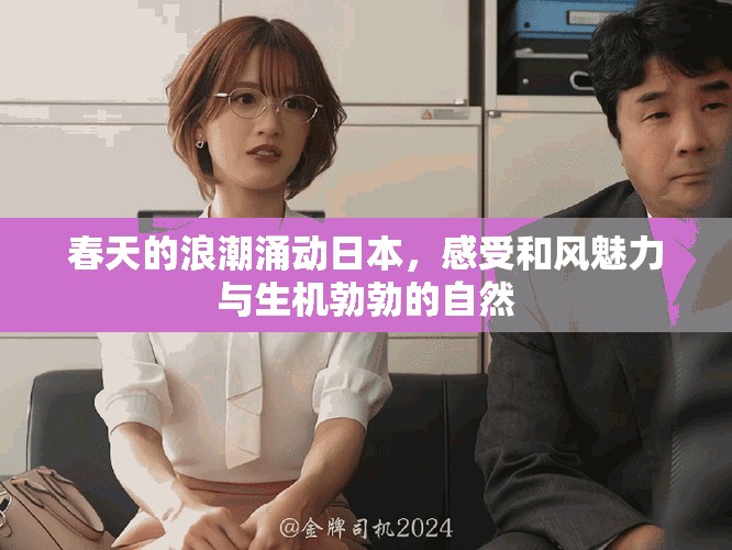 春天的浪潮涌动日本，感受和风魅力与生机勃勃的自然