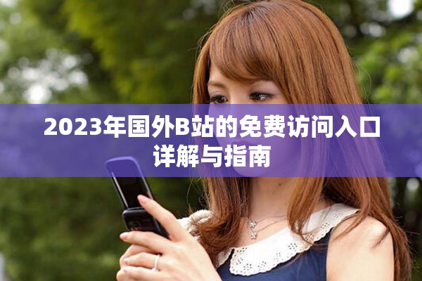 2023年国外B站的免费访问入口详解与指南