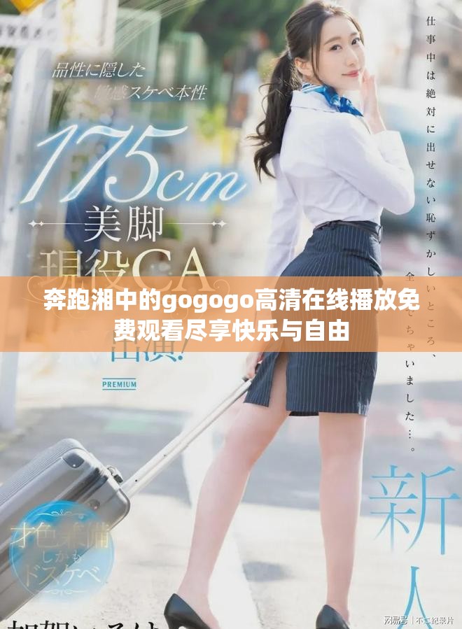 奔跑湘中的gogogo高清在线播放免费观看尽享快乐与自由