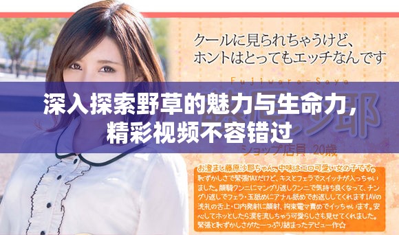 深入探索野草的魅力与生命力，精彩视频不容错过