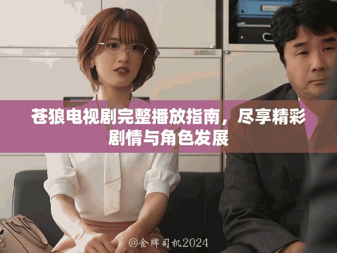 苍狼电视剧完整播放指南，尽享精彩剧情与角色发展