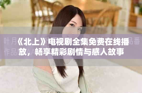《北上》电视剧全集免费在线播放，畅享精彩剧情与感人故事