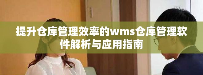 提升仓库管理效率的wms仓库管理软件解析与应用指南
